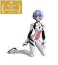 Legacy Of Revoltech Evangelion 2.0 You Can (Not) Advance: Ayanami Rei Ver.2.0 thumbnail 6