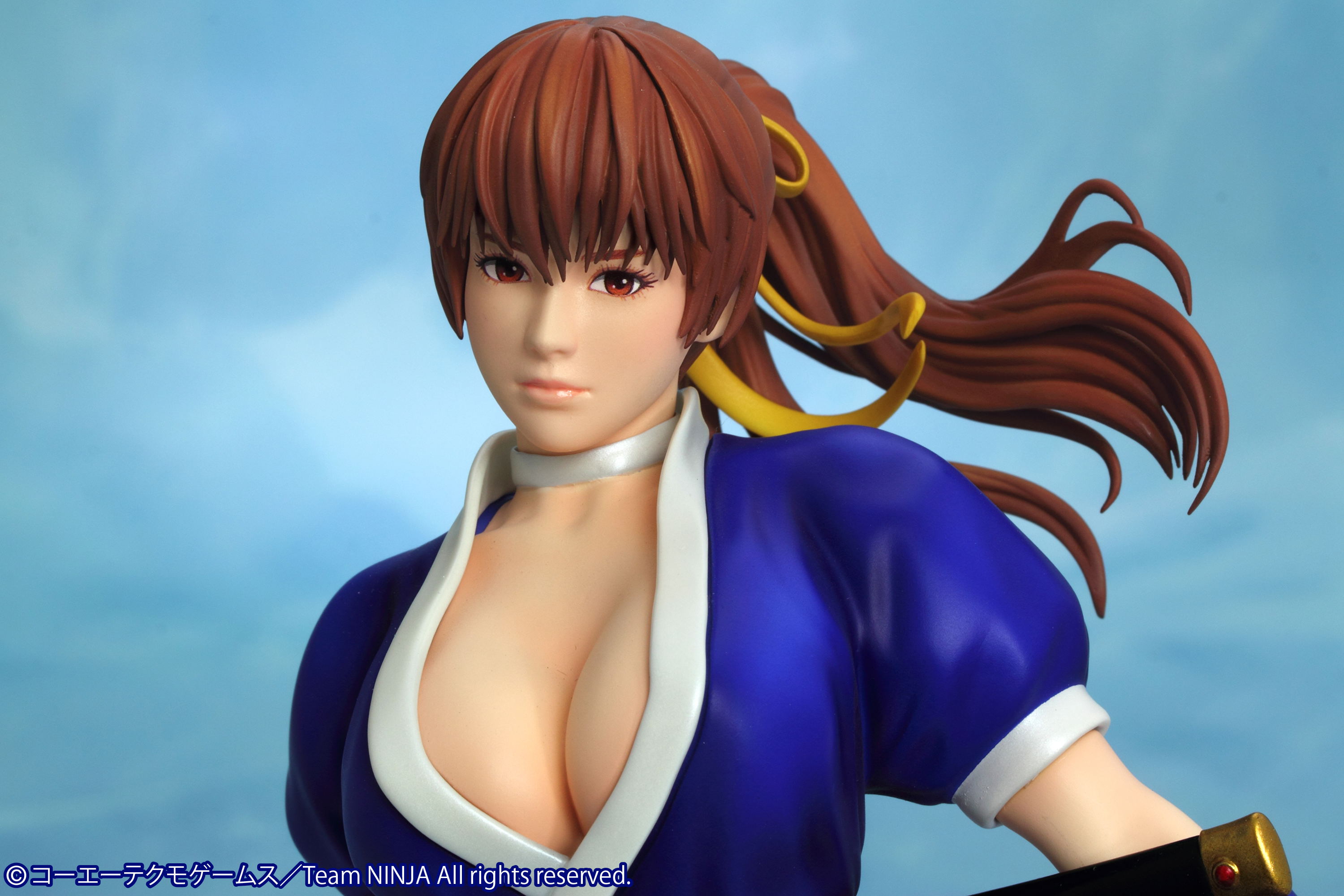 Dead or Alive 5: Kasumi