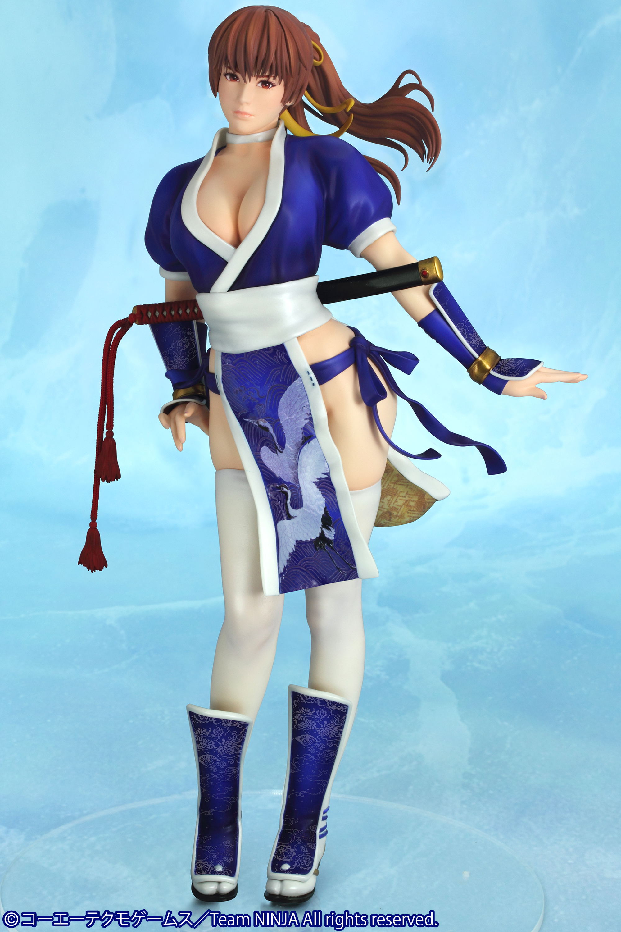Dead or Alive 5: Kasumi