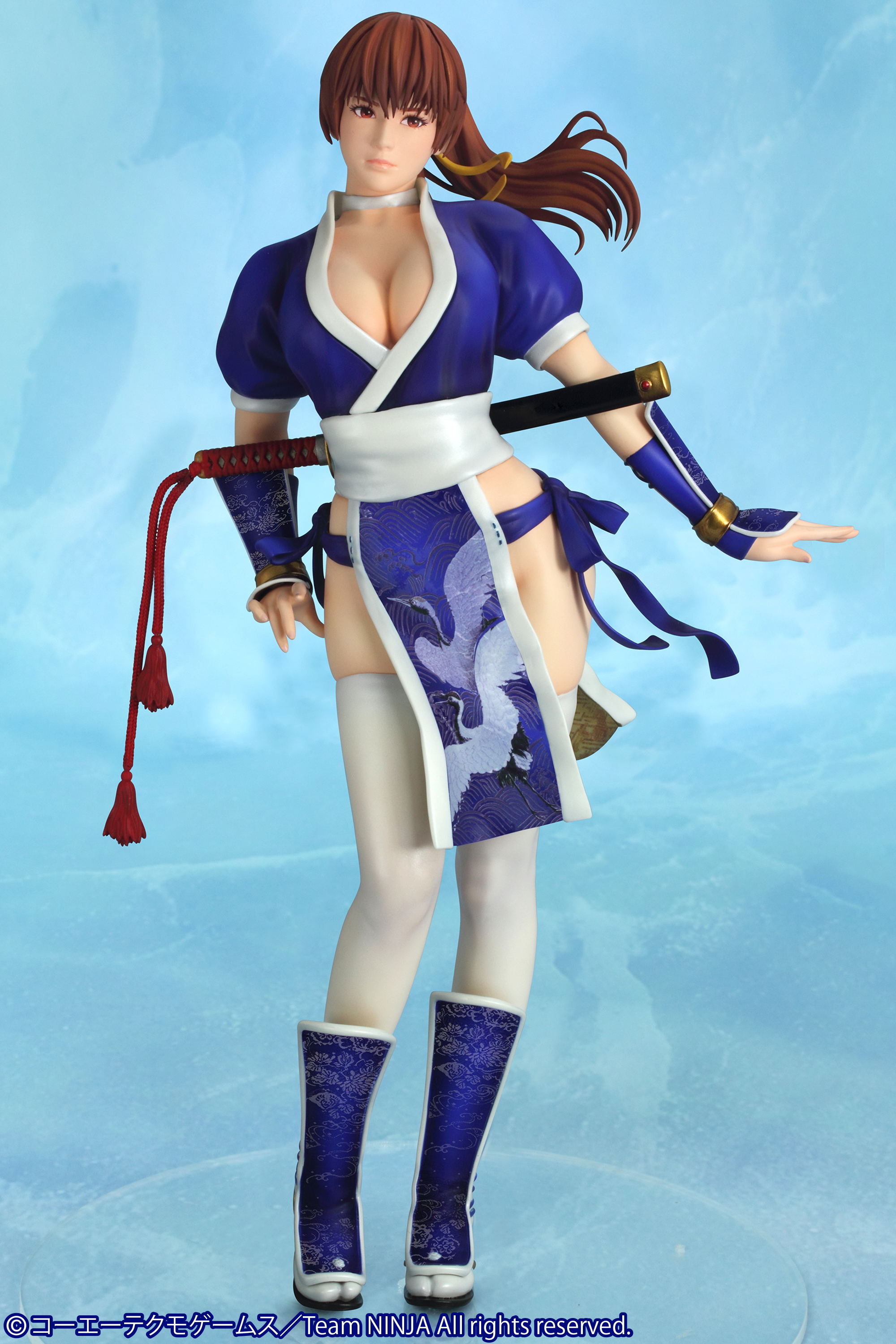 Dead or Alive 5: Kasumi