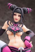 Street Fighter Bishoujo 1/7 Scale Pre-Painted Figure: Juri (Re-run) thumbnail 9
