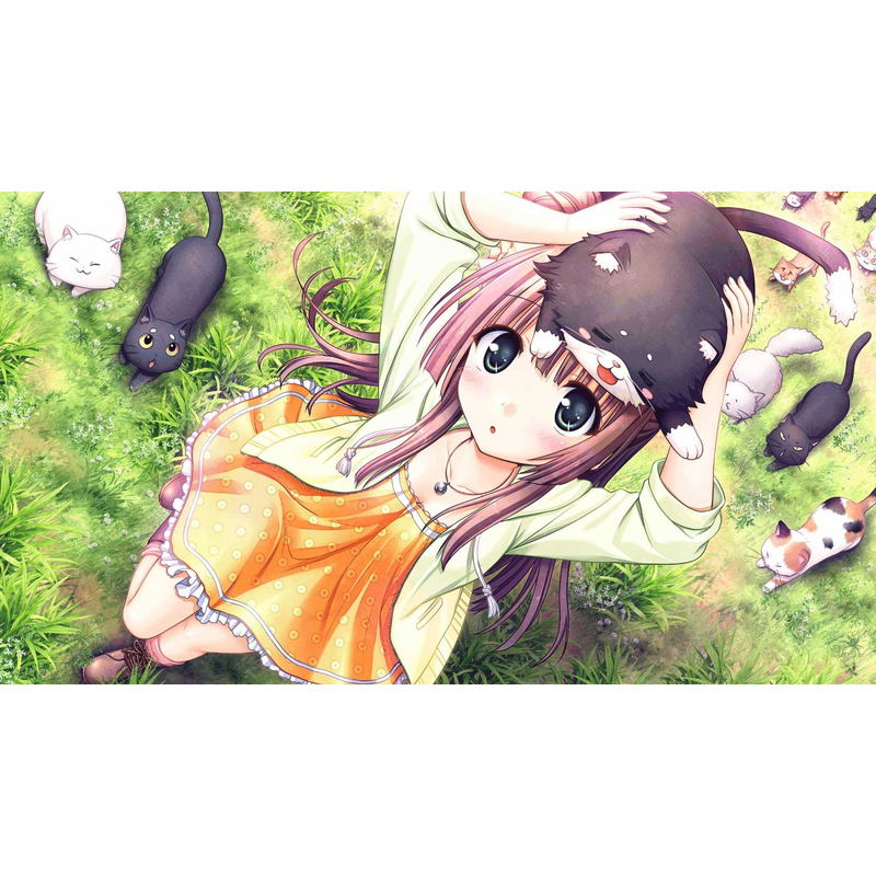 Daitoshokan no Hitsujikai: Library Party image 5
