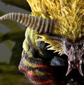 Capcom Figure Builder Creators Model Monster Hunter: Rajang thumbnail 6