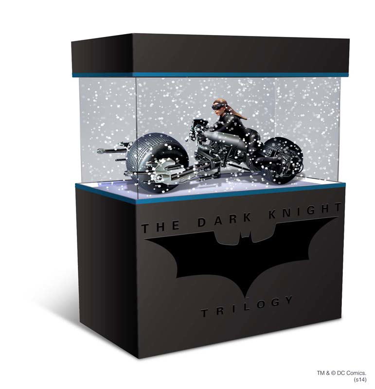 Dark Knight Rising: Catwoman with Bat Pod image 2