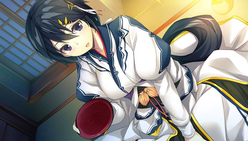 Sengoku Hime 5: Senka Tatsu Haou no Keifu image 11