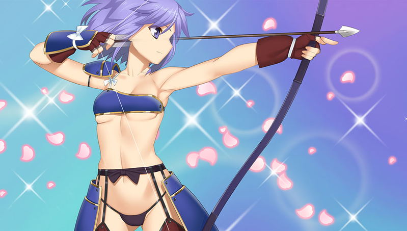 Sengoku Hime 5: Senka Tatsu Haou no Keifu image 13