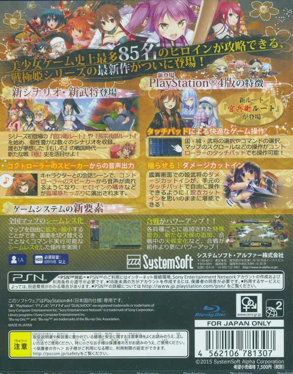 Sengoku Hime 5: Senka Tatsu Haou no Keifu image 2