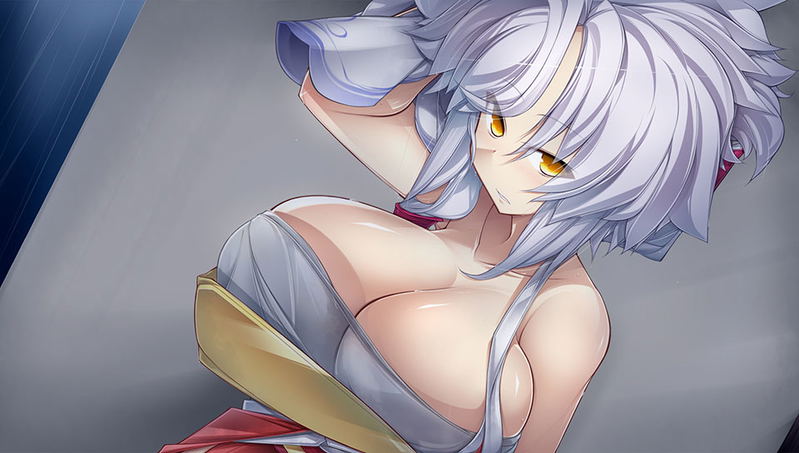 Sengoku Hime 5: Senka Tatsu Haou no Keifu image 9