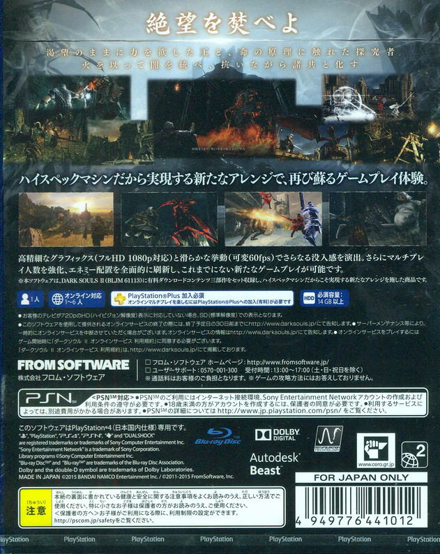 Dark Souls II: Scholar of the First Sin image 2