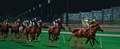 Winning Post 8 2015 thumbnail 3