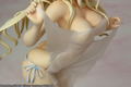 IS (Infinite Stratos): Cecilia Alcott -Origin Edition/Shower Scene in Dream Ver.- thumbnail 18