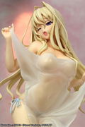 IS (Infinite Stratos): Cecilia Alcott -Origin Edition/Shower Scene in Dream Ver.- thumbnail 9