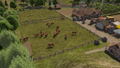 Banished <span class="ext" style="background-color: #2a475e; color: #FFFFFF;">STEAM</span> <span class="ext ext_digital">digital</span> thumbnail 5