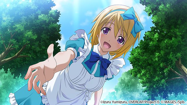 Infinite Stratos 2: Love And Purge image 3