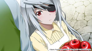 Infinite Stratos 2: Love And Purge