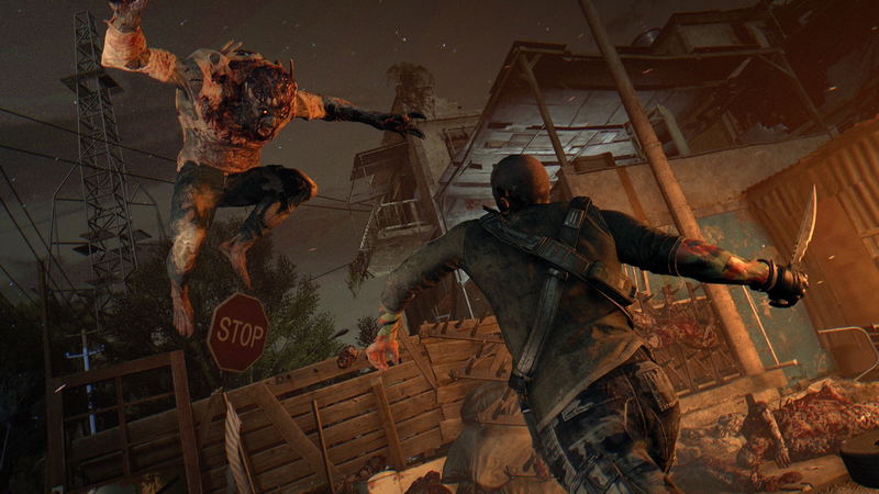 Dying Light (Be the Zombie Edition) image 16