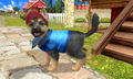 Petz Countryside thumbnail 2