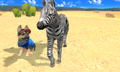 Petz Countryside thumbnail 5