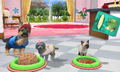 Petz Countryside thumbnail 6