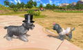 Petz Countryside thumbnail 7