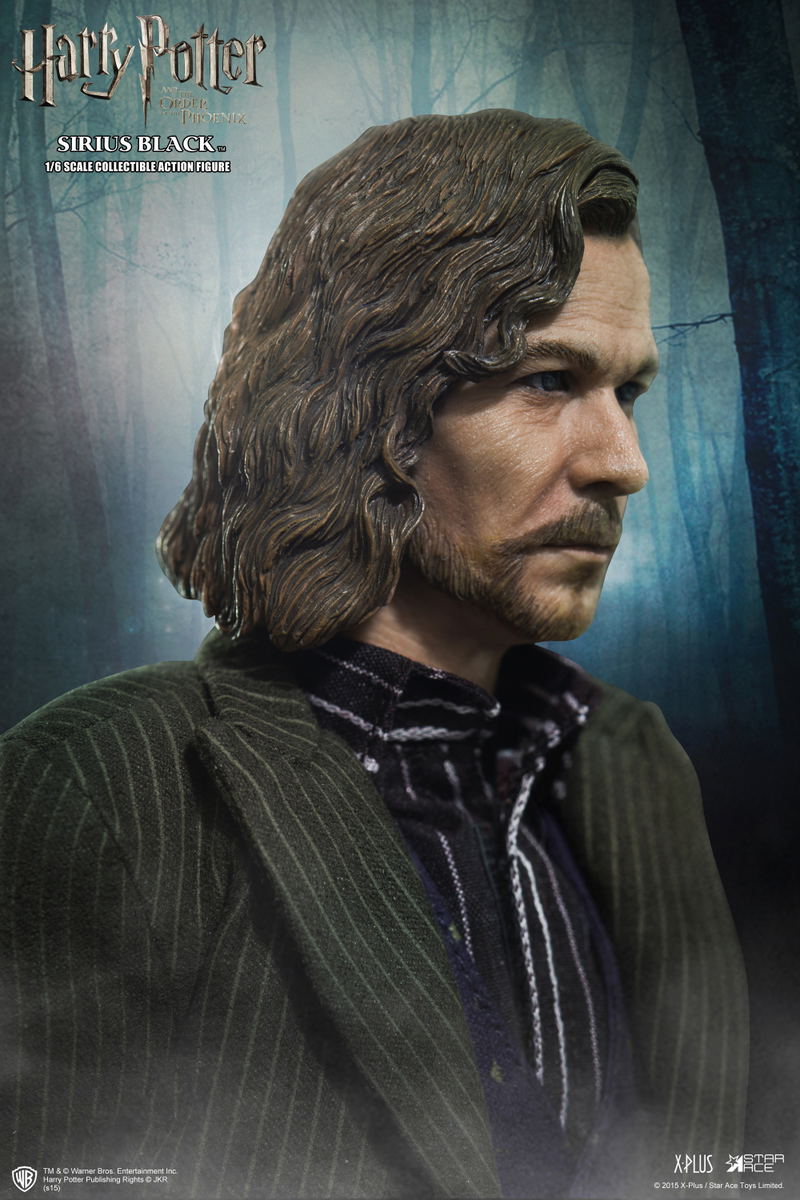 My Favorite Movie Series Harry Potter and the Order of the Phoenix: Sirius Black image 6