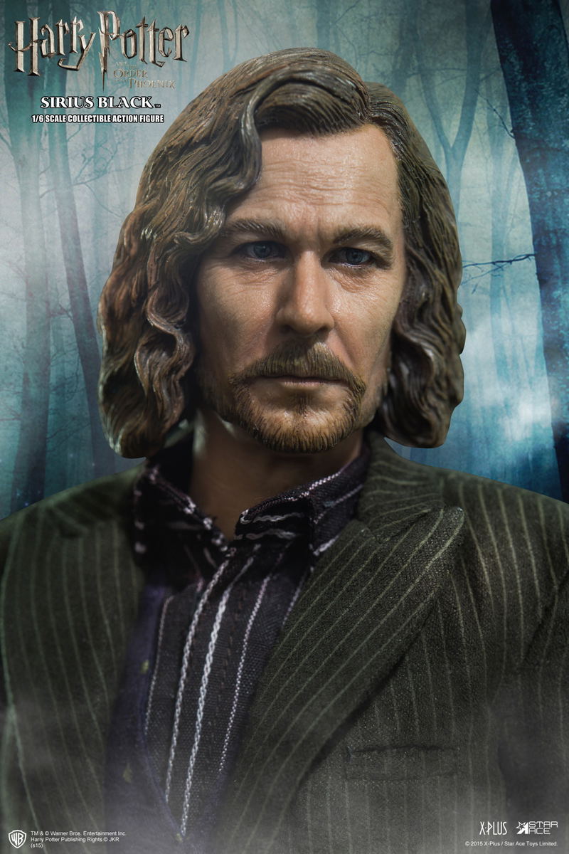 My Favorite Movie Series Harry Potter and the Order of the Phoenix: Sirius Black image 7