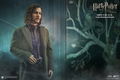 My Favorite Movie Series Harry Potter and the Order of the Phoenix: Sirius Black thumbnail 8