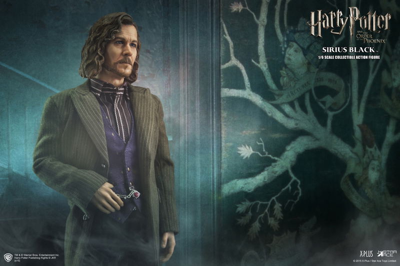 My Favorite Movie Series Harry Potter and the Order of the Phoenix: Sirius Black image 8