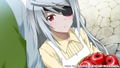 Infinite Stratos 2: Love And Purge [Limited Edition] thumbnail 7