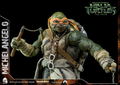 Teenage Mutant Ninja Turtles: Michelangelo thumbnail 12
