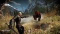 The Witcher 3: Wild Hunt <span class="ext" style="background-color: #581c6c; color: #FFFFFF;">GOG.com</span> <span class="ext ext_digital">digital</span> thumbnail 10