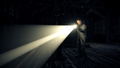 Alan Wake (Collector's Edition) <span class="ext" style="background-color: #2a475e; color: #FFFFFF;">STEAM</span> <span class="ext ext_digital">digital</span> thumbnail 3