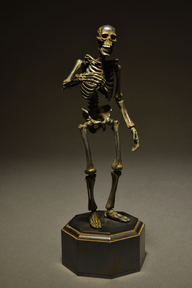 KT Project KT-005 Takeya Freely Figure: Skeleton Iron Rust Edition image 2