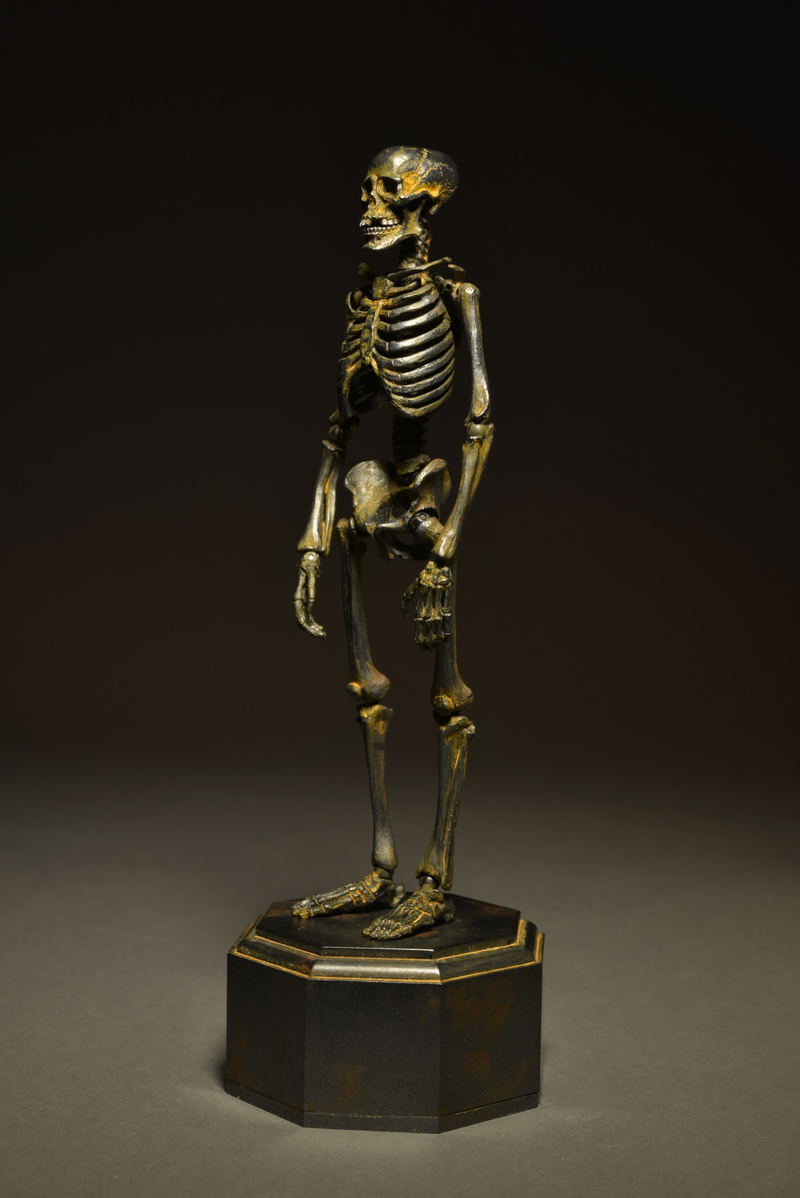 KT Project KT-005 Takeya Freely Figure: Skeleton Iron Rust Edition image 4