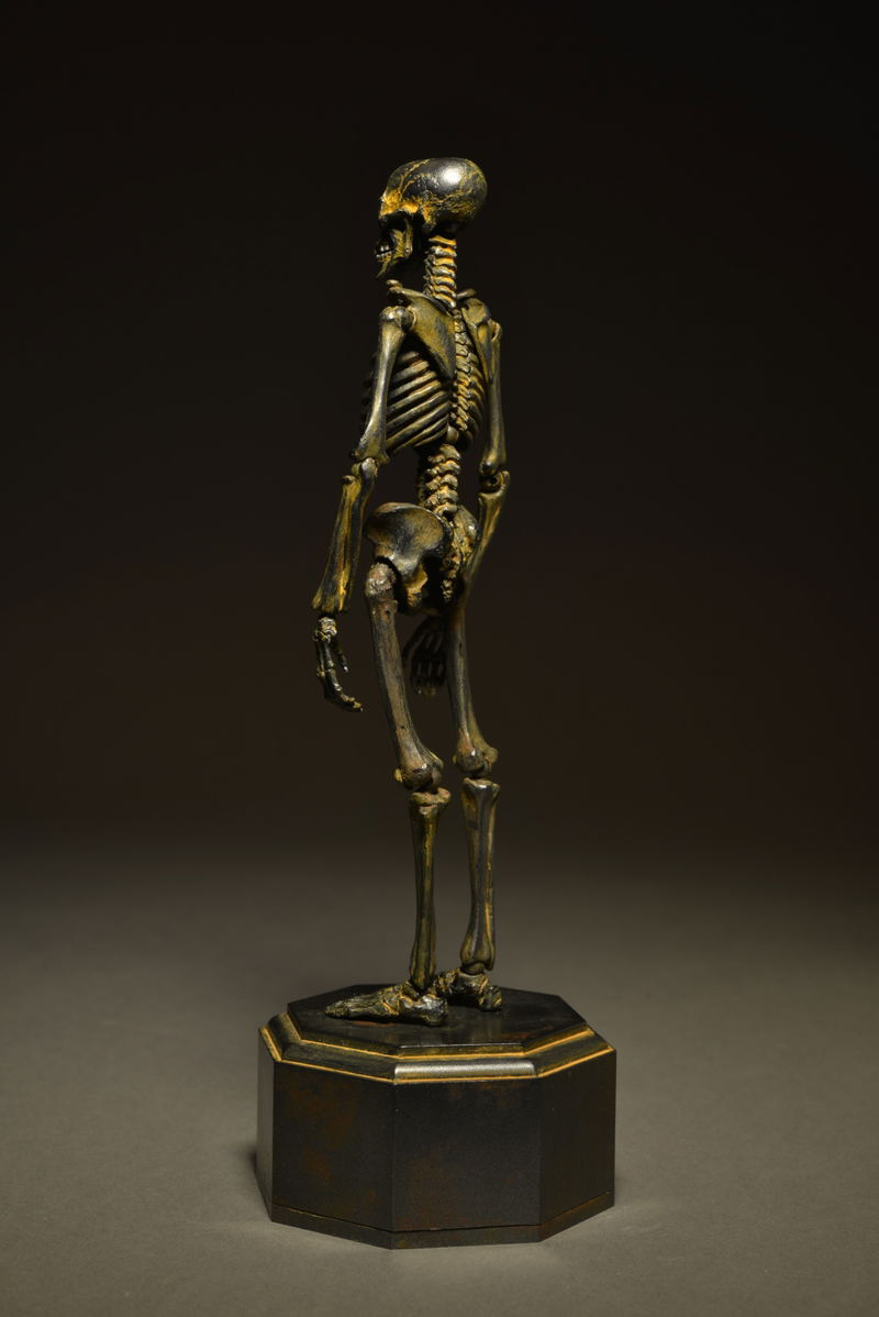 KT Project KT-005 Takeya Freely Figure: Skeleton Iron Rust Edition image 5