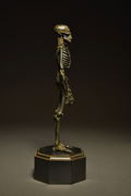 KT Project KT-005 Takeya Freely Figure: Skeleton Iron Rust Edition thumbnail 7