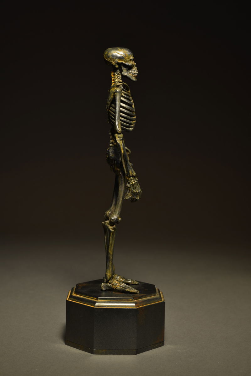 KT Project KT-005 Takeya Freely Figure: Skeleton Iron Rust Edition image 7
