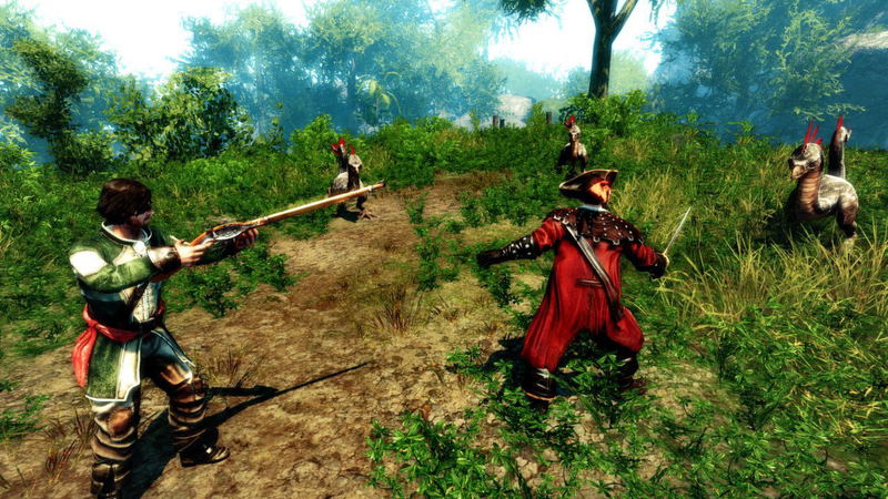 Risen 2: Dark Waters <span class="ext" style="background-color: #2a475e; color: #FFFFFF;">STEAM</span> <span class="ext ext_digital">digital</span> image 3