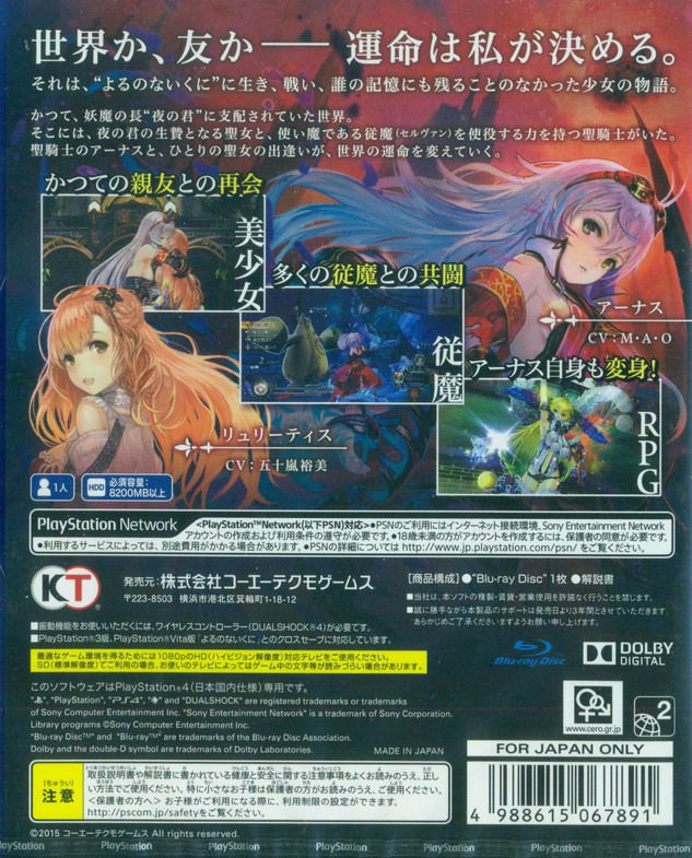 Yorunonaikuni image 2