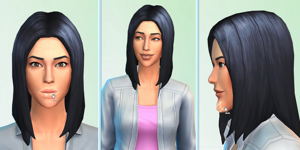 The Sims 4_