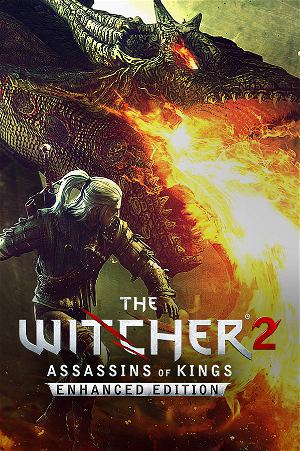 THE WITCHER 2 Assassins of Kings PC DVD-ROM Box Set Disc Perfect