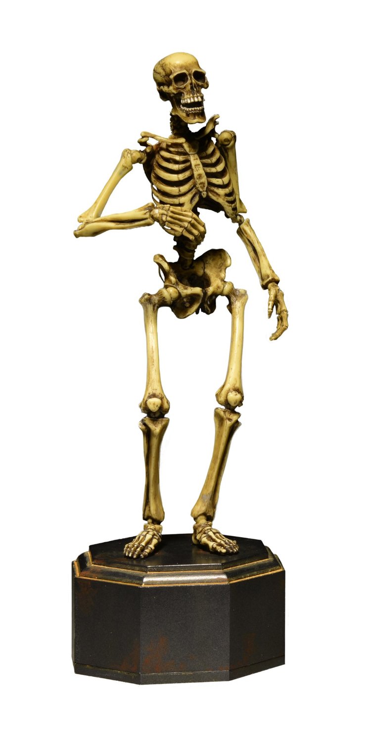 KT Project KT-006 Takeya Freely Figure: Skeleton Color Edition image 1