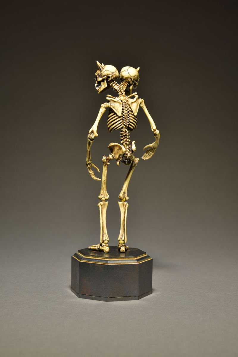 KT Project KT-006 Takeya Freely Figure: Skeleton Color Edition image 12