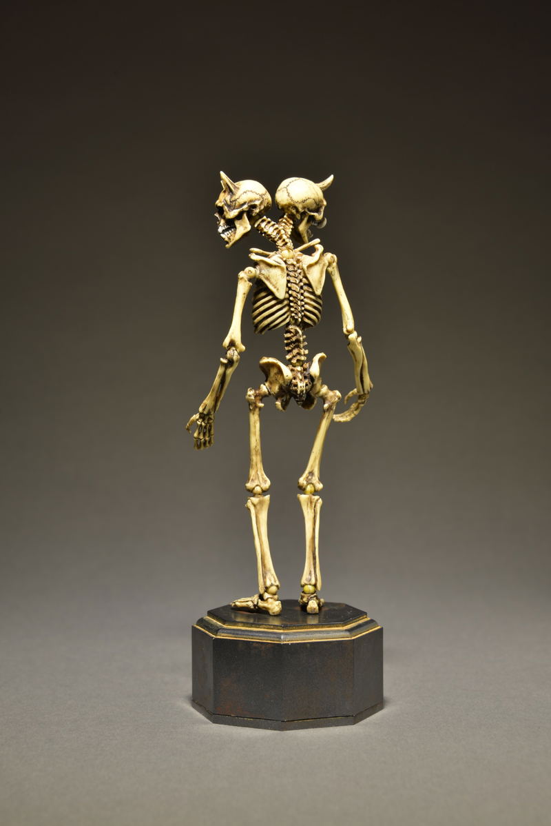 KT Project KT-006 Takeya Freely Figure: Skeleton Color Edition image 13