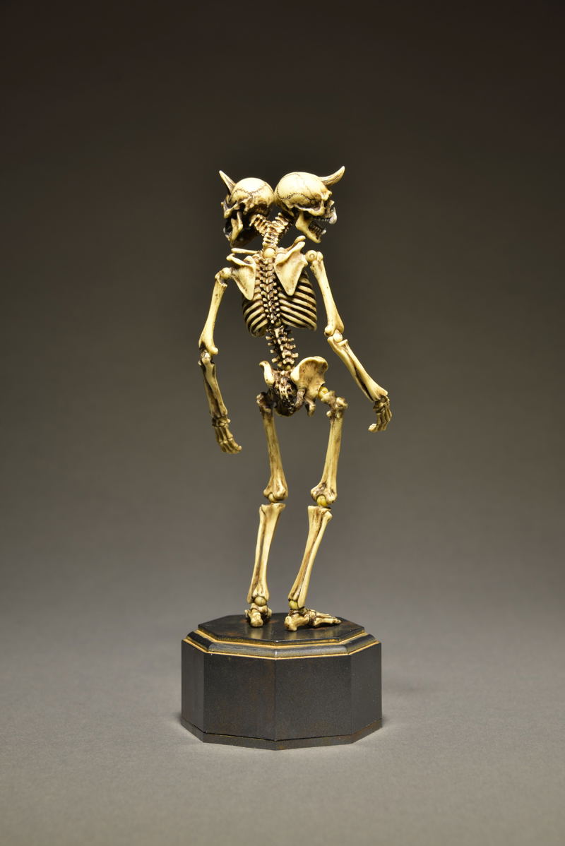 KT Project KT-006 Takeya Freely Figure: Skeleton Color Edition image 14