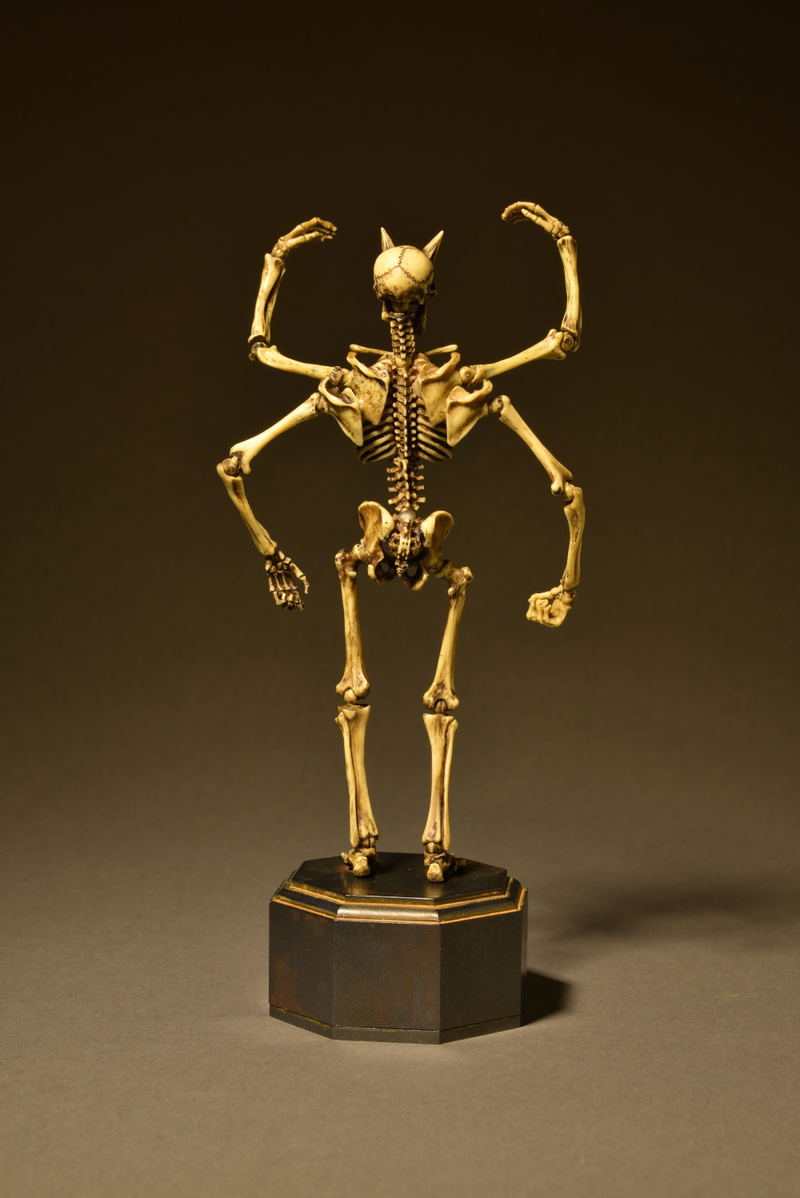 KT Project KT-006 Takeya Freely Figure: Skeleton Color Edition image 4