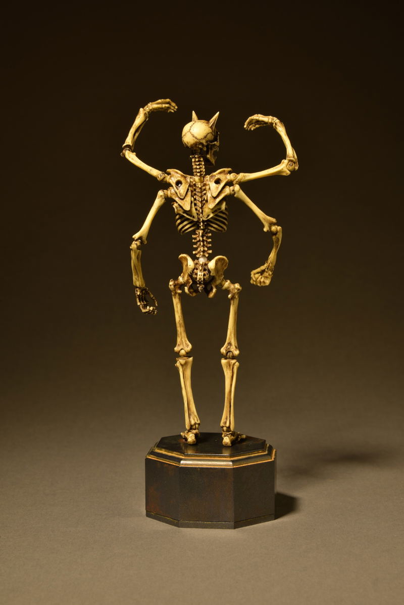 KT Project KT-006 Takeya Freely Figure: Skeleton Color Edition image 5