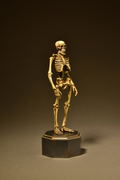 KT Project KT-006 Takeya Freely Figure: Skeleton Color Edition thumbnail 7