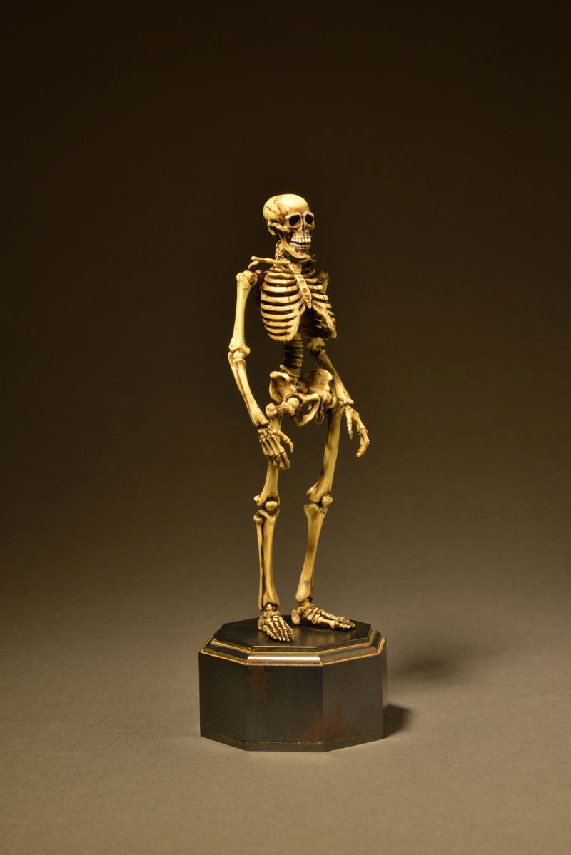 KT Project KT-006 Takeya Freely Figure: Skeleton Color Edition image 7