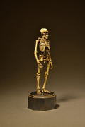KT Project KT-006 Takeya Freely Figure: Skeleton Color Edition thumbnail 8